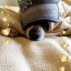 Meet your Posher, Terry